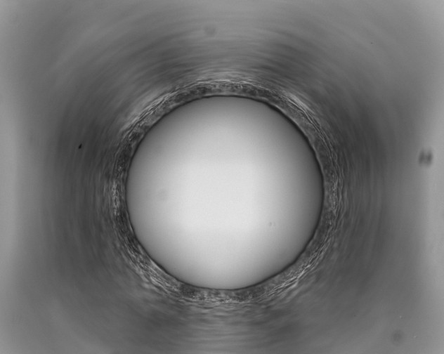 X0000090770774200707201114
