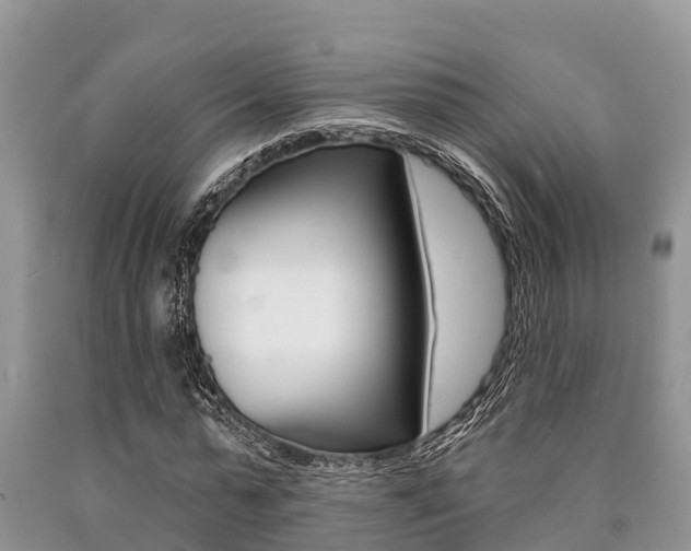 X0000090770775200707201114