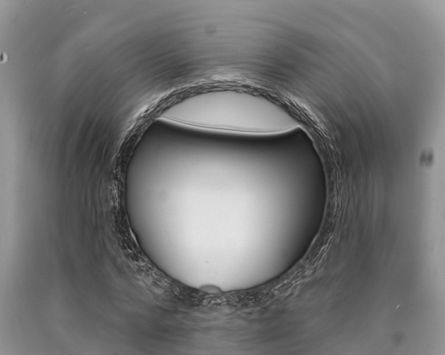 X0000090770776200707201114