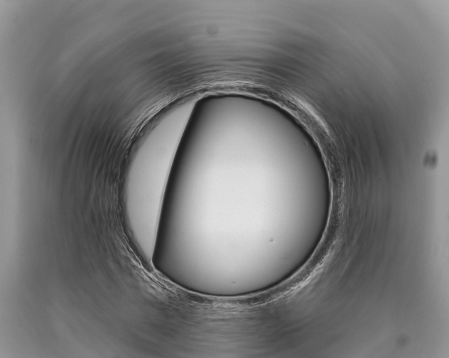 X0000090770777200707201114