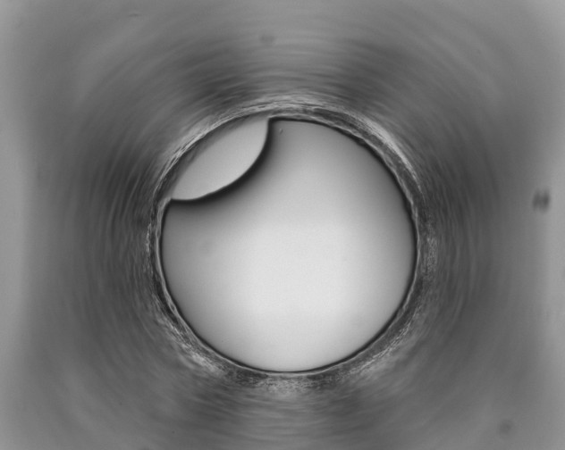 X0000090770778200707201114