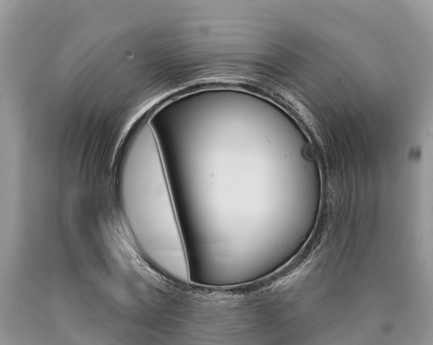 X0000090770779200707201113