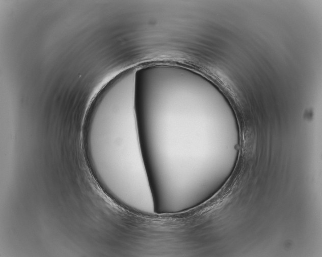 X0000090770780200707201113