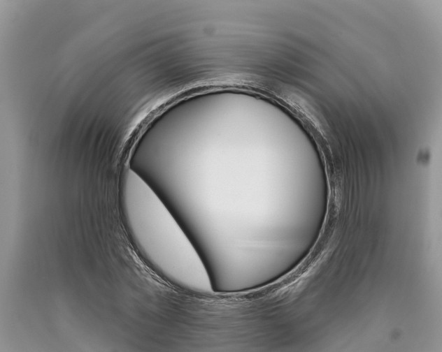 X0000090770781200707201113