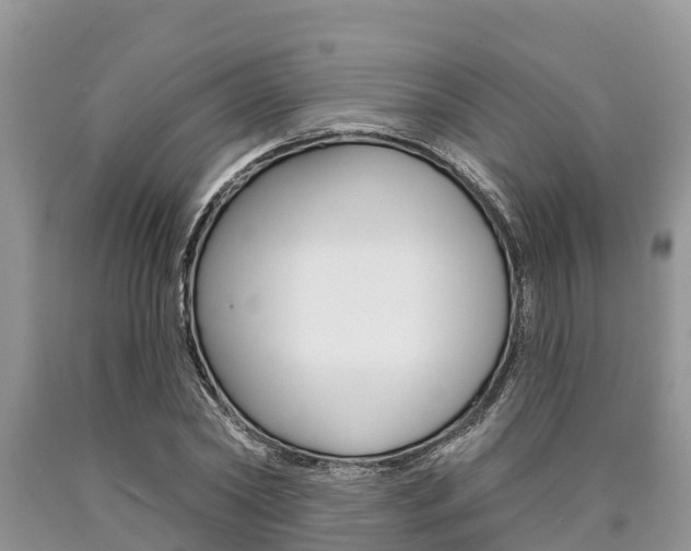 X0000090770782200707201113