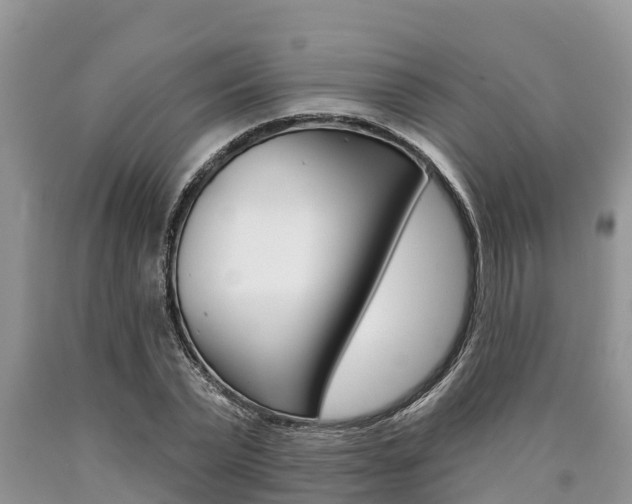 X0000090770783200707201113