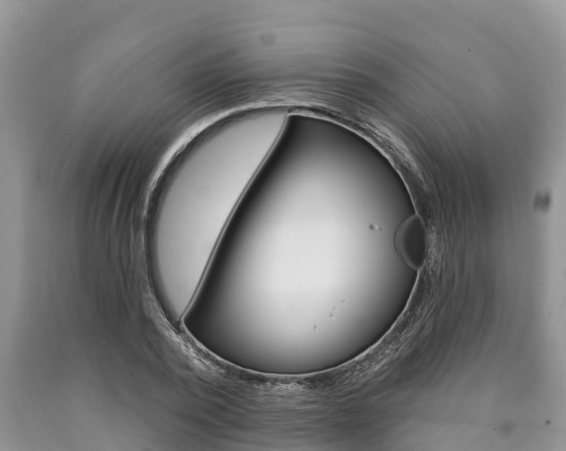 X0000090770784200707201113