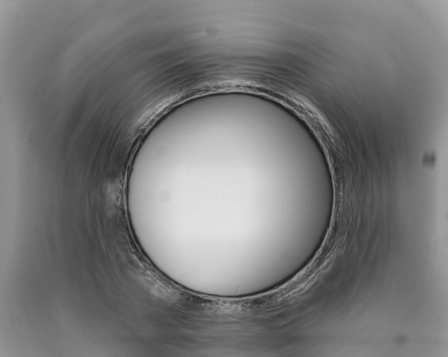 X0000090770785200707201113