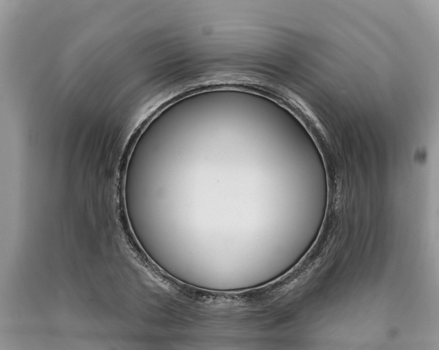 X0000090770786200707201113