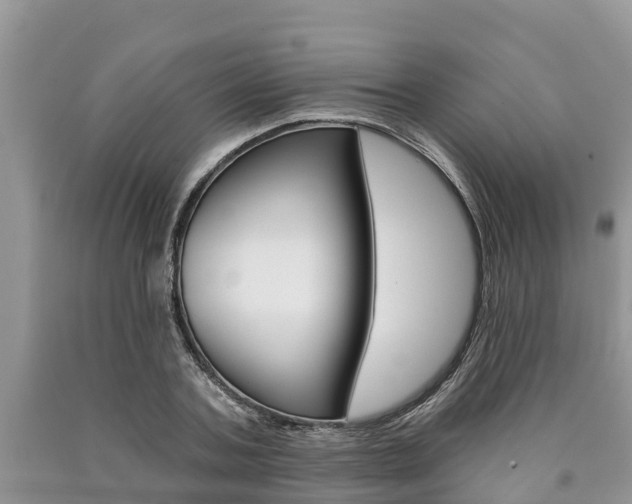 X0000090770787200707201113