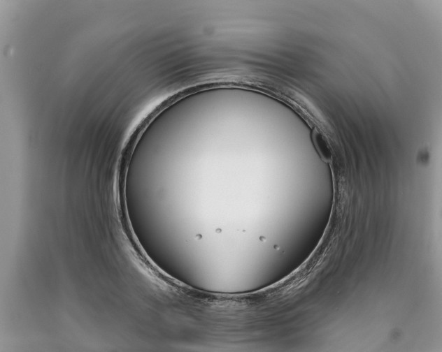 X0000090770788200707201113