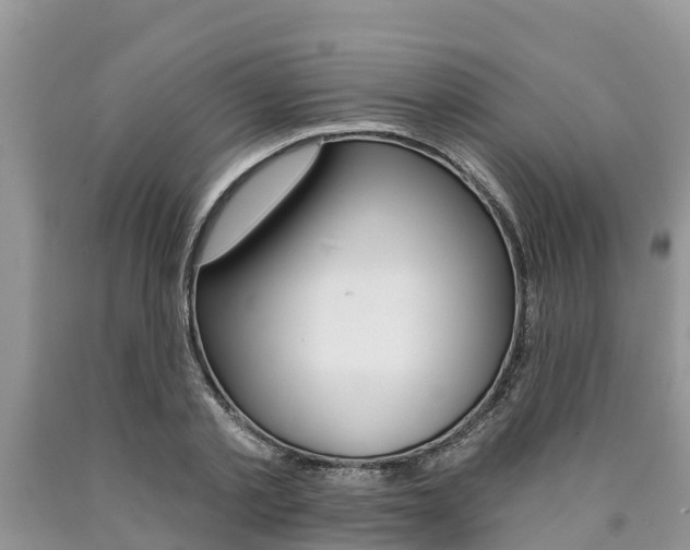 X0000090770789200707201113