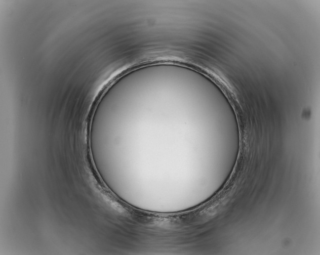 X0000090770790200707201113