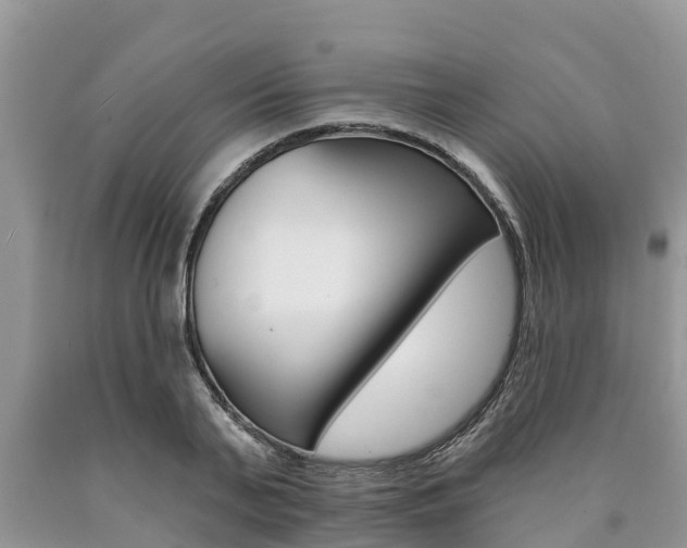 X0000090770791200707201113