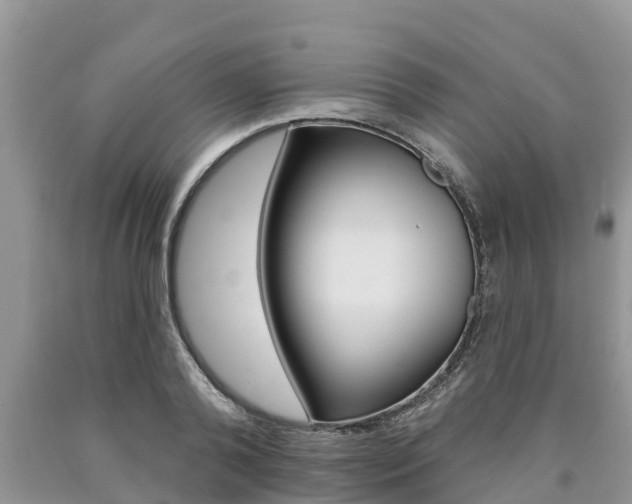 X0000090770792200707201113