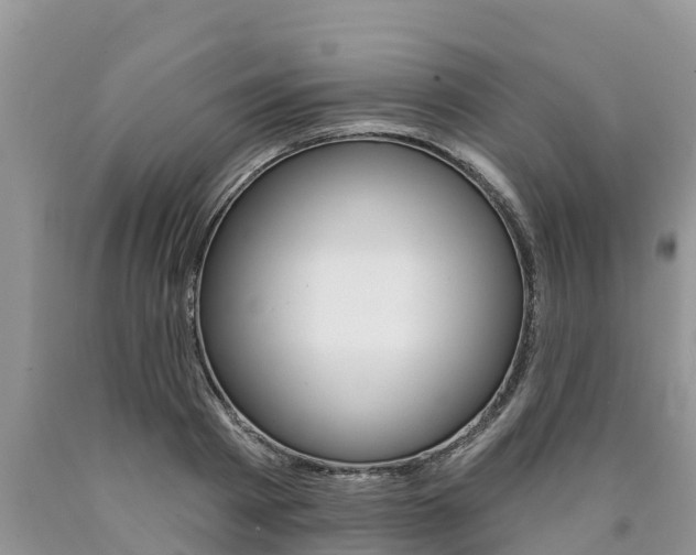 X0000090770793200707201113