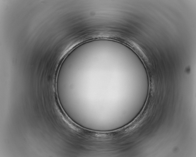 X0000090770794200707201113