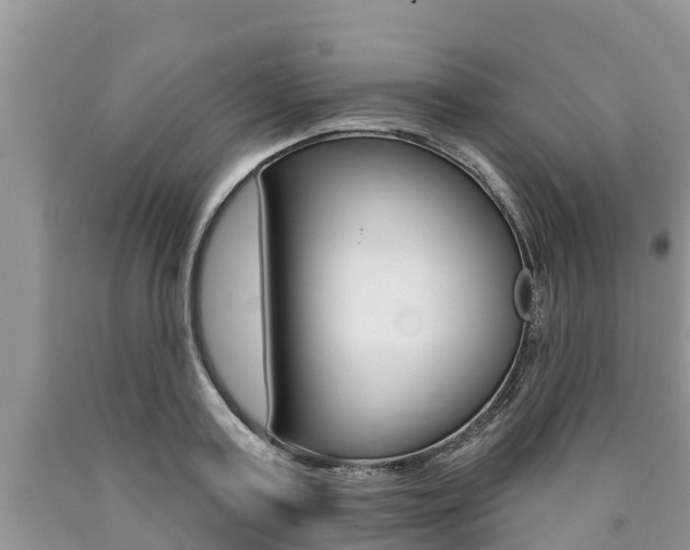 X0000090770795200707201113