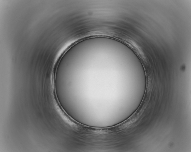 X0000090770796200707201113