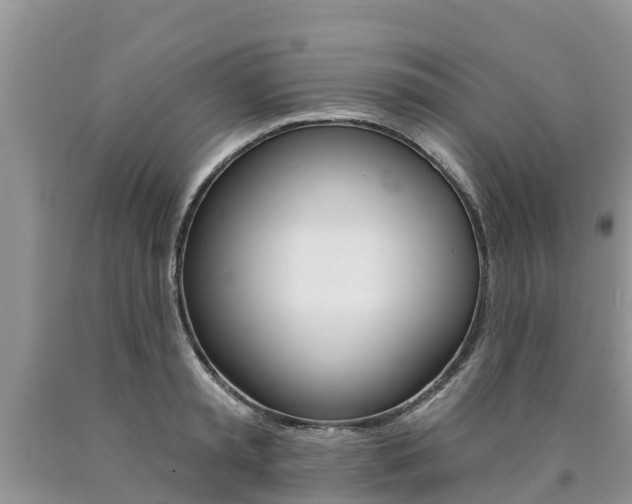 X0000090770797200707201113
