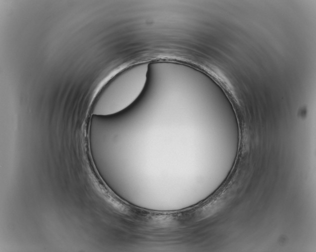 X0000090770798200707201113