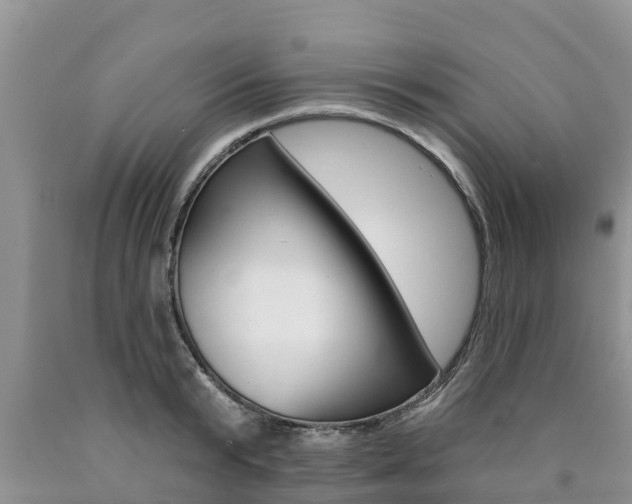 X0000090770799200707201113