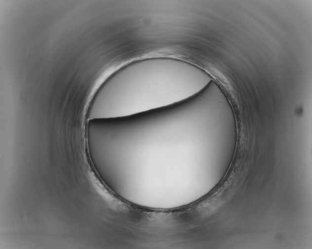 X0000090770800200707201113