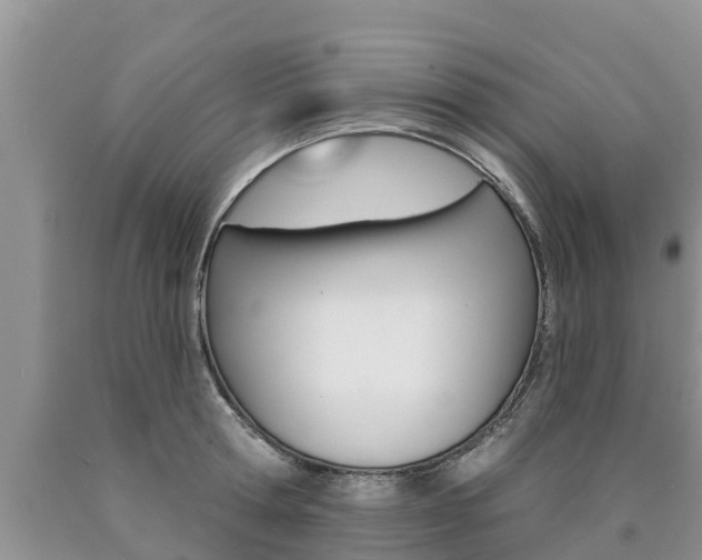 X0000090770802200707201113