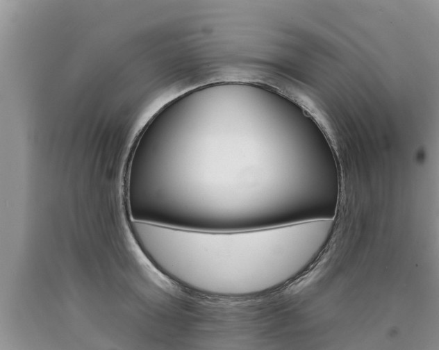 X0000090770803200707201113