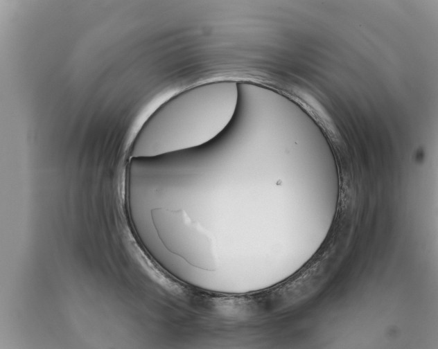 X0000090770804200707201113