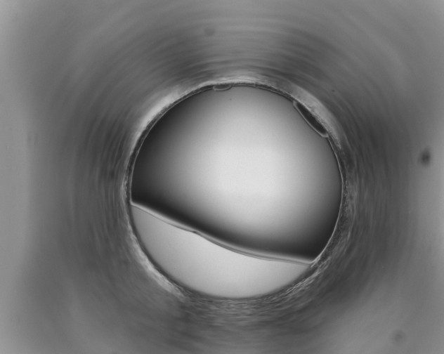 X0000090770805200707201113