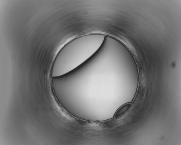X0000090770806200707201113
