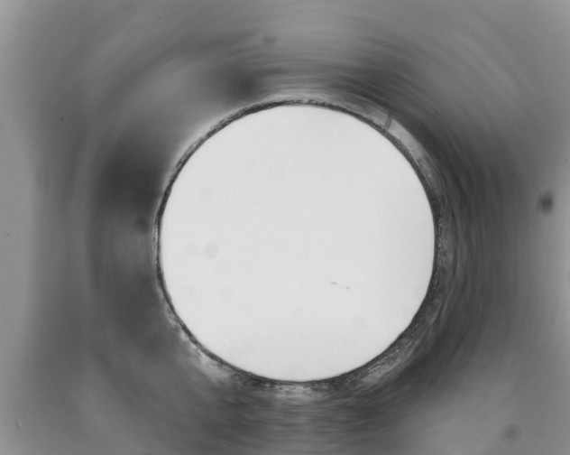 X0000090770807200707201113