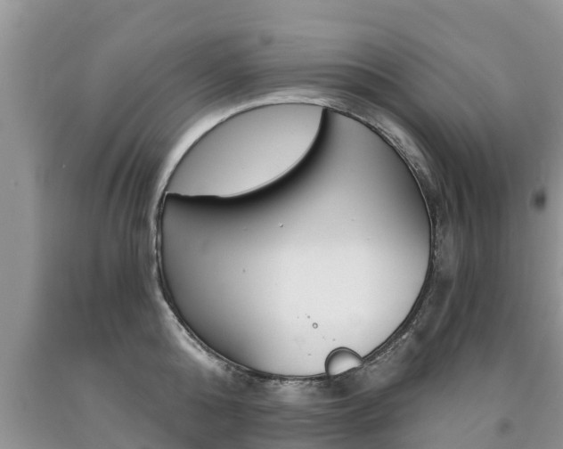 X0000090770808200707201113