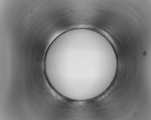X0000090770810200707201113
