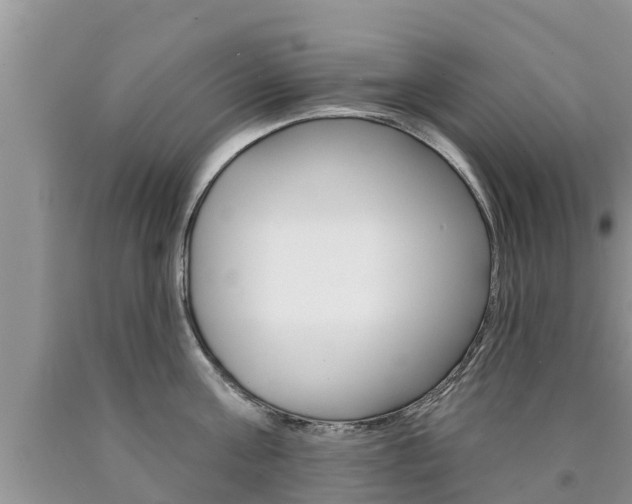 X0000090770811200707201113