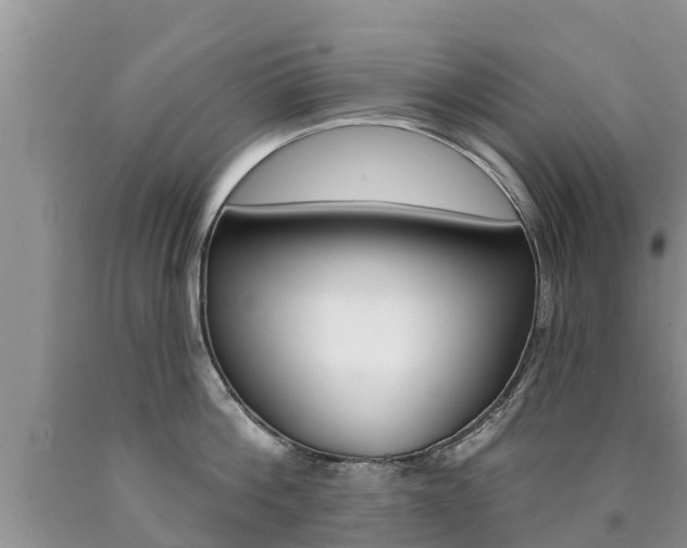 X0000090770812200707201113