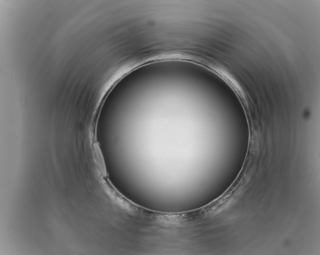 X0000090770813200707201113
