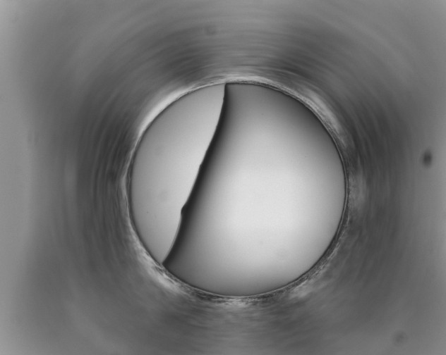 X0000090770814200707201113