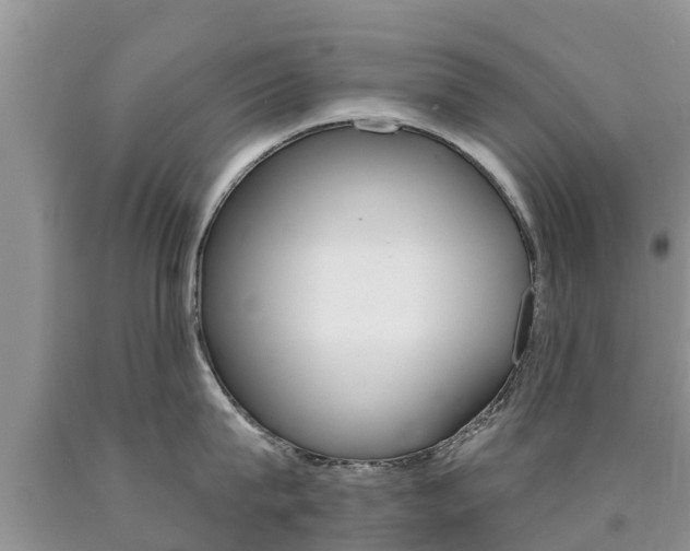 X0000090770815200707201113