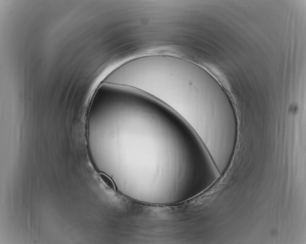 X0000090770816200707201113