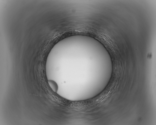 X0000090770817200707201112