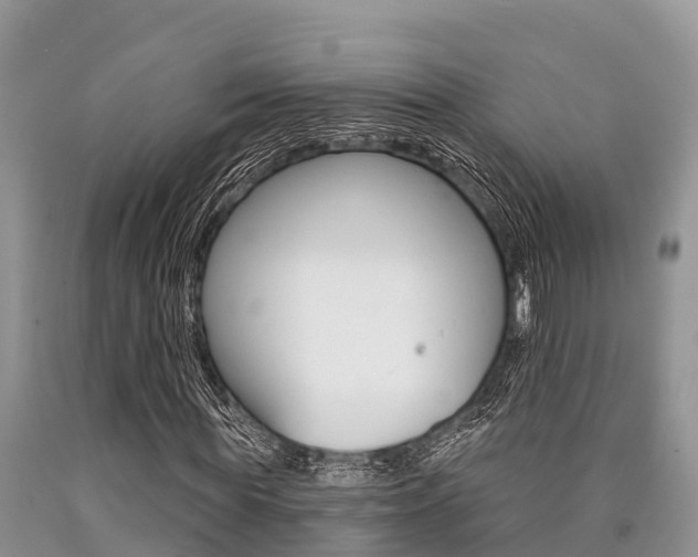 X0000090770819200707201112