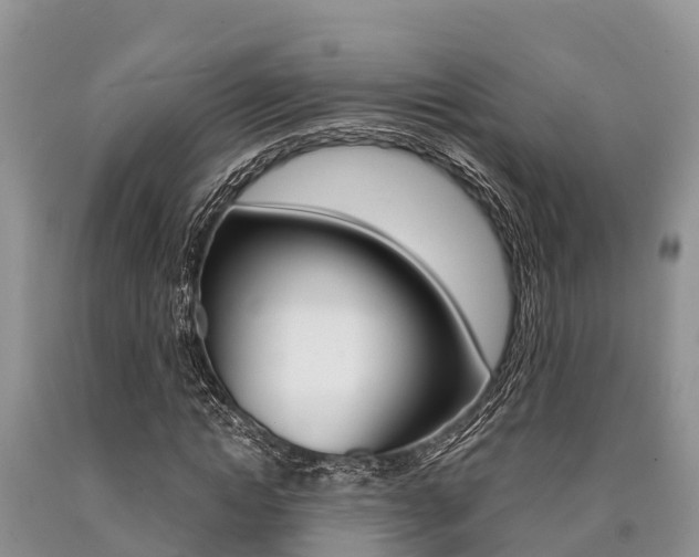 X0000090770822200707201112
