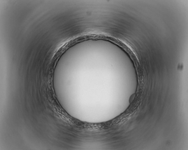 X0000090770823200707201112