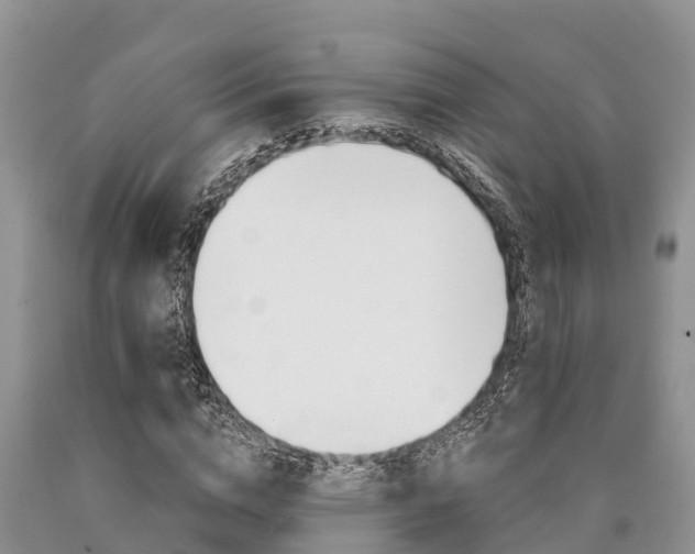 X0000090770824200707201112