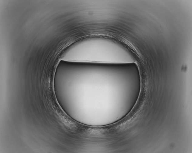 X0000090770825200707201112