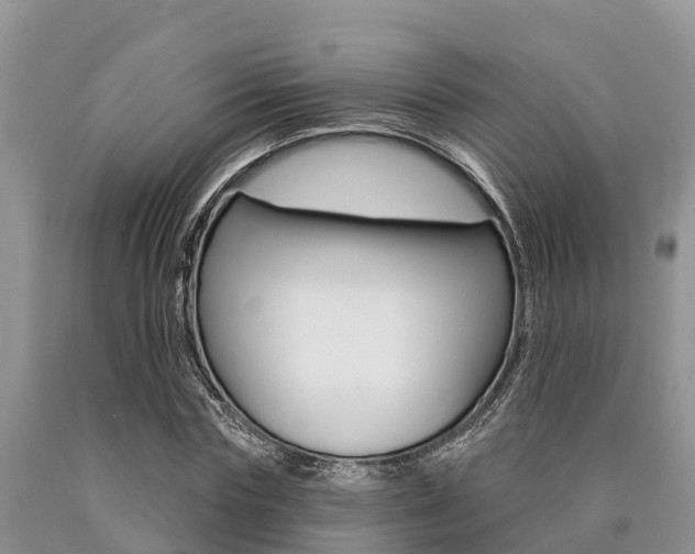 X0000090770827200707201112
