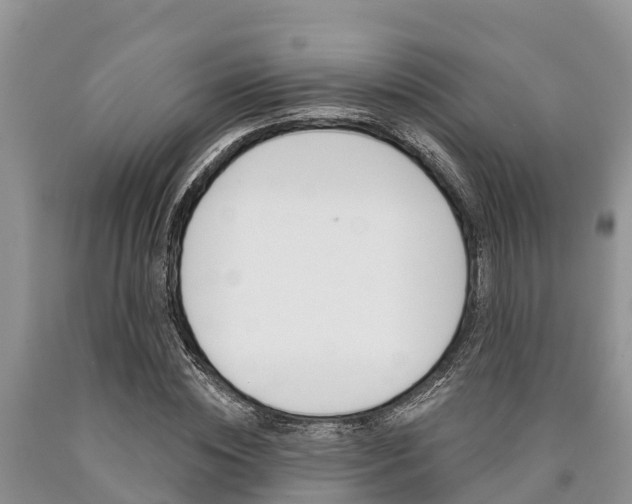 X0000090770828200707201112