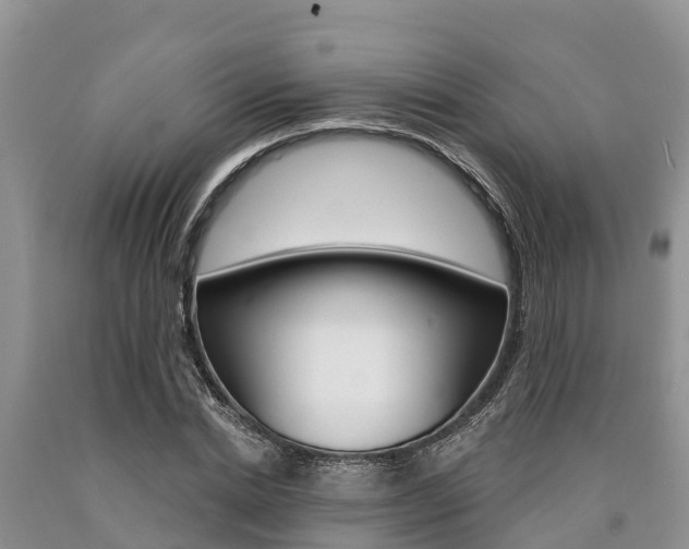 X0000090770830200707201112